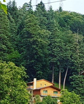 Villa B Barleon-Bakuriani, Bakuriani